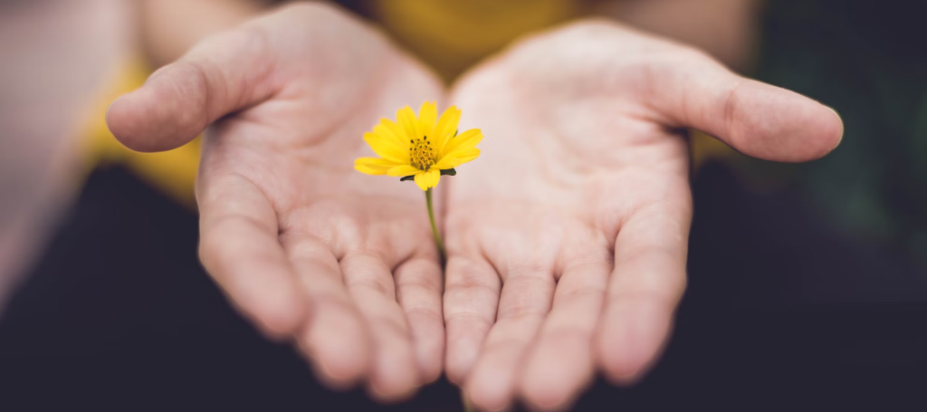 Two hands and a flower representing support after a fatality in the workplace.